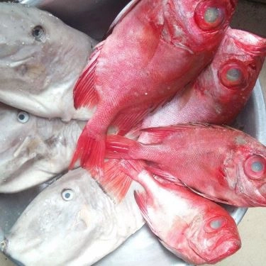 Tổng hợp- Quán Ăn Lagi Quán - Hải Sản Tươi Sống - Trương Phước Phan