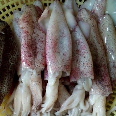 Tổng hợp- Quán Ăn Lagi Quán - Hải Sản Tươi Sống - Trương Phước Phan