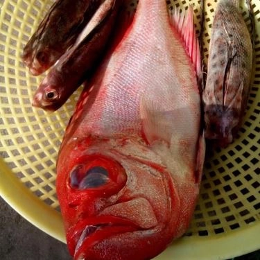 Tổng hợp- Quán Ăn Lagi Quán - Hải Sản Tươi Sống - Trương Phước Phan