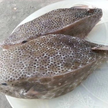 Tổng hợp- Quán Ăn Lagi Quán - Hải Sản Tươi Sống - Trương Phước Phan
