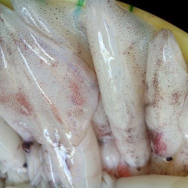Tổng hợp- Quán Ăn Lagi Quán - Hải Sản Tươi Sống - Trương Phước Phan
