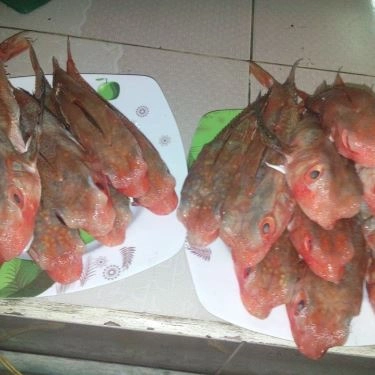Tổng hợp- Quán Ăn Lagi Quán - Hải Sản Tươi Sống - Trương Phước Phan