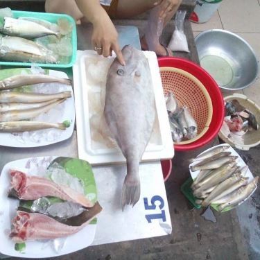 Tổng hợp- Quán Ăn Lagi Quán - Hải Sản Tươi Sống - Trương Phước Phan