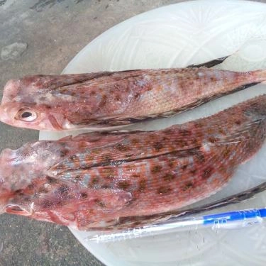 Tổng hợp- Quán Ăn Lagi Quán - Hải Sản Tươi Sống - Trương Phước Phan