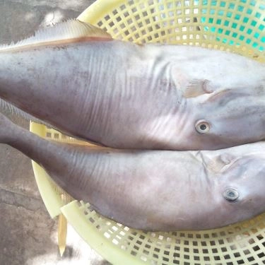 Tổng hợp- Quán Ăn Lagi Quán - Hải Sản Tươi Sống - Trương Phước Phan