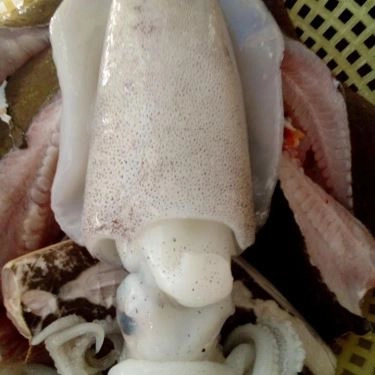 Tổng hợp- Quán Ăn Lagi Quán - Hải Sản Tươi Sống - Trương Phước Phan