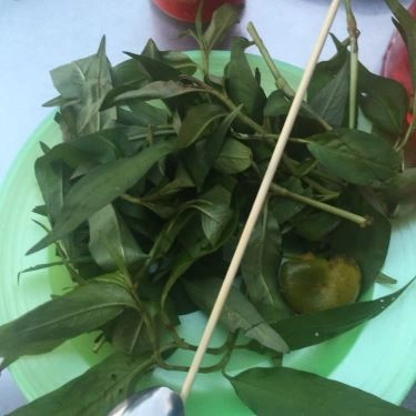 Tổng hợp- Quán Ăn Quán Ốc Lan Anh