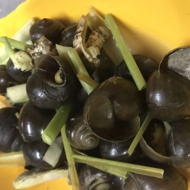 Tổng hợp- Quán Ăn Quán Ốc Lan Anh