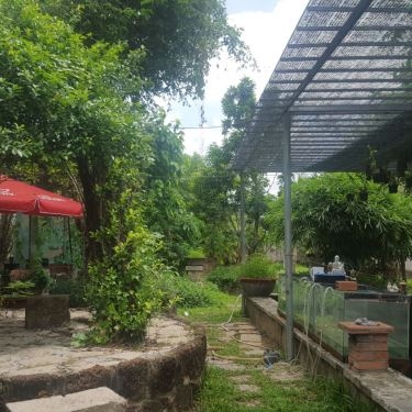 Tổng hợp- Lan Rừng Quán - Quán Ăn Gia Đình
