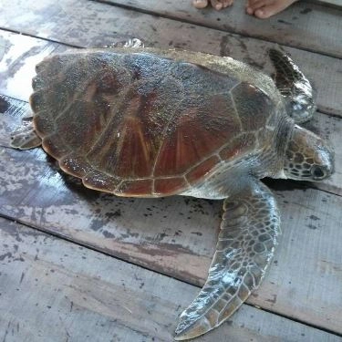 Tổng hợp- Quán Ăn Làng Bè - Đảo Bình Ba