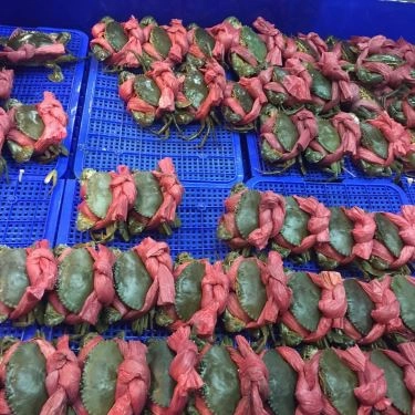 Tổng hợp- Quán Ăn Làng Cá - Hải Sản Tươi Sống