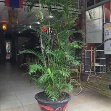 Tổng hợp- Quán Ăn Laos 2 - Ẩm Thực Lào - Hải Triều