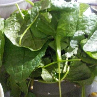 Tổng hợp- Quán Ăn Lẩu Bò Cô Liên