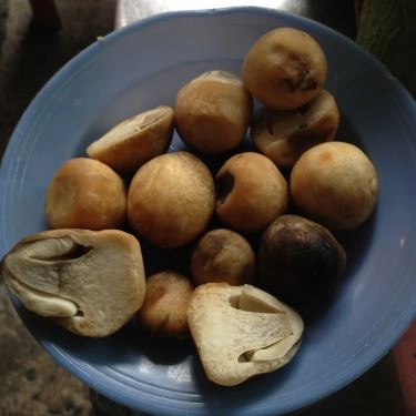 Tổng hợp- Quán Ăn Lẩu Bò Cô Thảo - Hồ Thị Kỷ