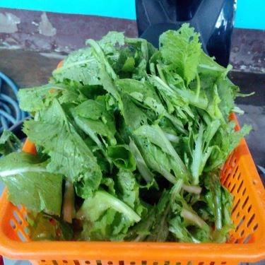 Tổng hợp- Quán Ăn Lẩu Bò Năm Thái