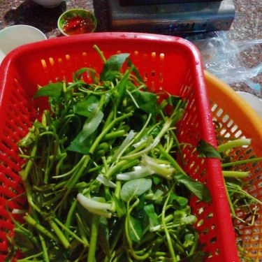 Tổng hợp- Quán Ăn Lẩu Bò Năm Thái