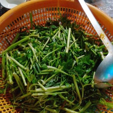 Tổng hợp- Quán Ăn Lẩu Bò Năm Thái