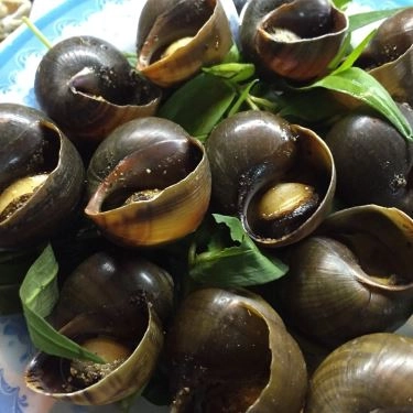 Món ăn- Quán Ăn Lẩu Bò & Ốc - Vườn Chuối