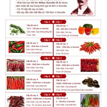 Tổng hợp- Quán Ăn Lẩu Bò Phát Tài 2