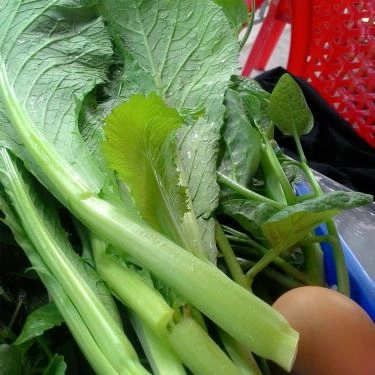 Món ăn- Quán Ăn Lẩu Bò Thạnh Bình