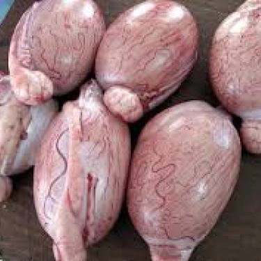 Tổng hợp- Quán Ăn Thành Vĩnh - Lẩu Lòng Bò