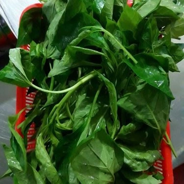 Tổng hợp- Quán Ăn Lẩu Bò Vinh Sơn