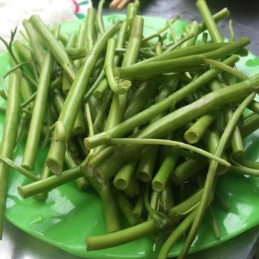 Tổng hợp- Quán Ăn Lẩu Cá 80 - Dương Tử Giang