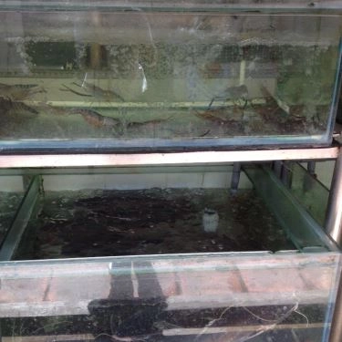 Tổng hợp- Quán Ăn Lẩu Cá  Thanh Đa - Xô Viết Nghệ Tĩnh