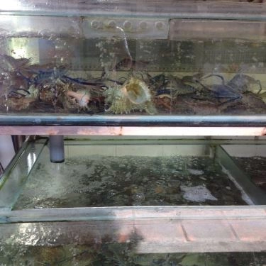 Tổng hợp- Quán Ăn Lẩu Cá  Thanh Đa - Xô Viết Nghệ Tĩnh