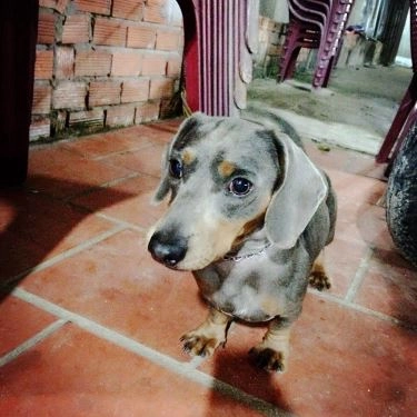 Tổng hợp- Quán Ăn Lẩu Dê 312