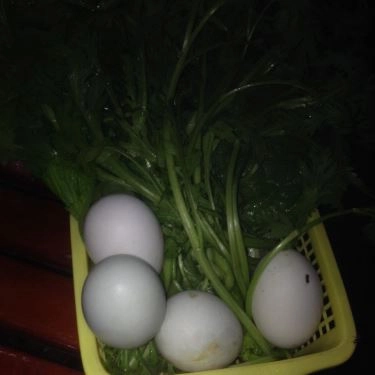 Tổng hợp- Quán Ăn Lẩu Dê 34