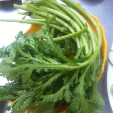 Tổng hợp- Quán Ăn Lẩu Dê Bàu Sen