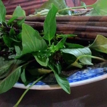 Tổng hợp- Quán Ăn Lẩu Dê Yên Hồng Quang 2 - Đường Số 14