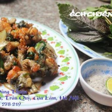 Tổng hợp- Quán Ăn Dũng Thuận - Lẩu Ếch