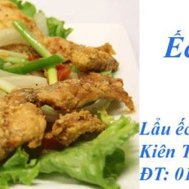 Tổng hợp- Quán Ăn Dũng Thuận - Lẩu Ếch