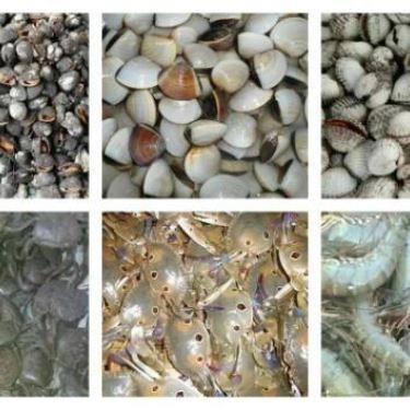 Tổng hợp- Quán Ăn Lẩu Ếch & Gà - Khương Trung