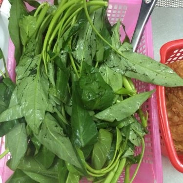 Tổng hợp- Quán Ăn Lẩu Ếch Lò Đúc