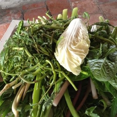 Tổng hợp- Quán Ăn Lẩu Mắm Dạ Lý