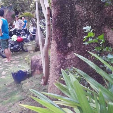 Tổng hợp- Quán Ăn Lẩu Mắm Phong Lan