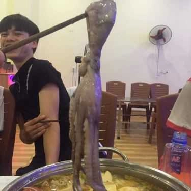 Tổng hợp- Quán Ăn Phố Đêm - Lẩu & Nướng