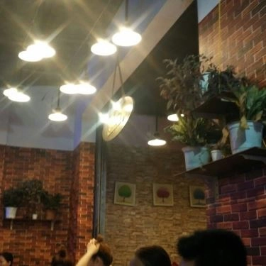 Tổng hợp- Quán Ăn Lẩu & Nướng Quạt Mo