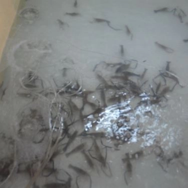 Tổng hợp- Quán Ăn Lẩu Tôm Càng Xiên - Âu Cơ