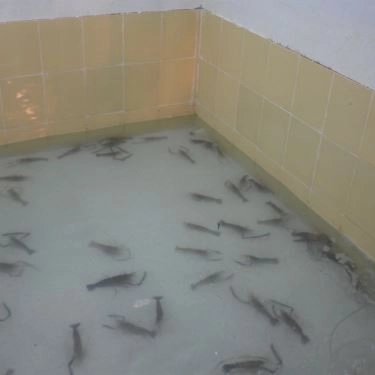 Tổng hợp- Quán Ăn Lẩu Tôm Càng Xiên - Âu Cơ