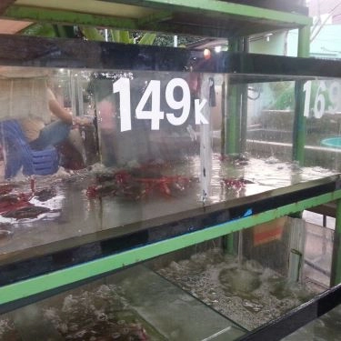 Tổng hợp- Quán Ăn Lẩu Tôm Càng Gò Vấp