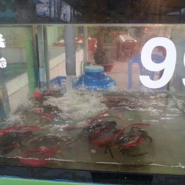 Tổng hợp- Quán Ăn Lẩu Tôm Càng Gò Vấp