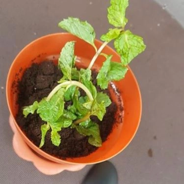 Món ăn- Quán Ăn Leng Keng Cà Rem - Kem & Ăn Vặt