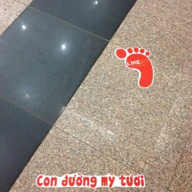 Tổng hợp- Quán Ăn Likeat - Fresh Noodle House