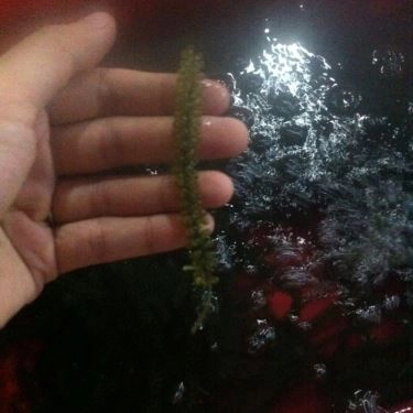 Tổng hợp- Quán Ăn Lộ Thiên Quán - Hải Sản Tươi Sống