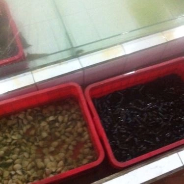 Tổng hợp- Quán Ăn Lộ Thiên Quán - Hải Sản Tươi Sống