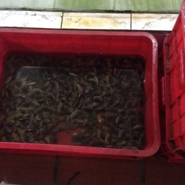 Tổng hợp- Quán Ăn Lộ Thiên Quán - Hải Sản Tươi Sống